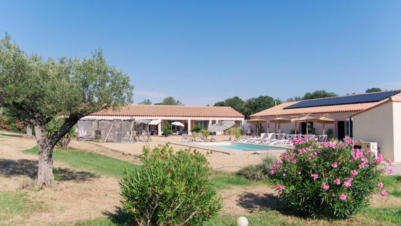 L'Oliveraie Toulouges Exterior foto